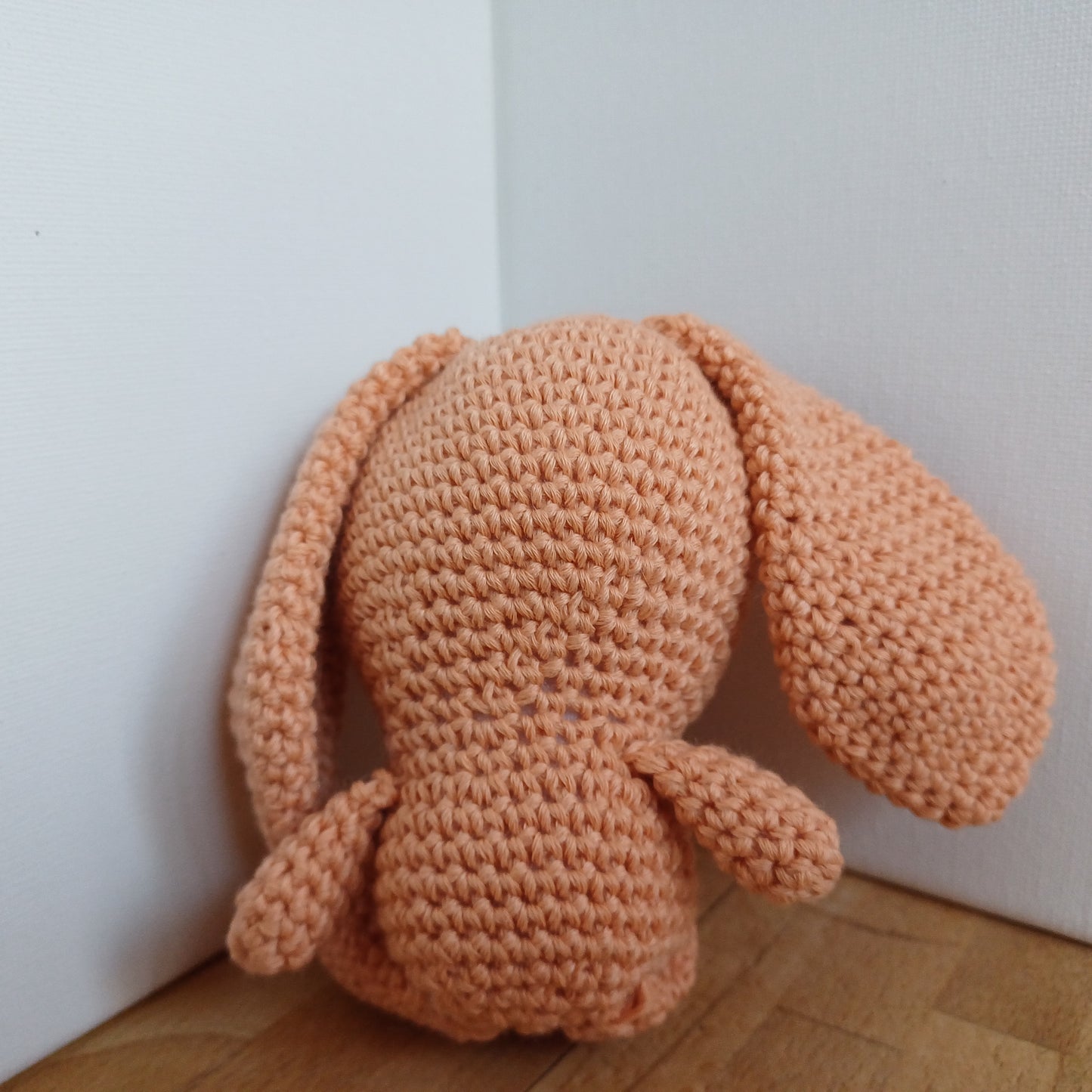 Lapin longues oreilles orange