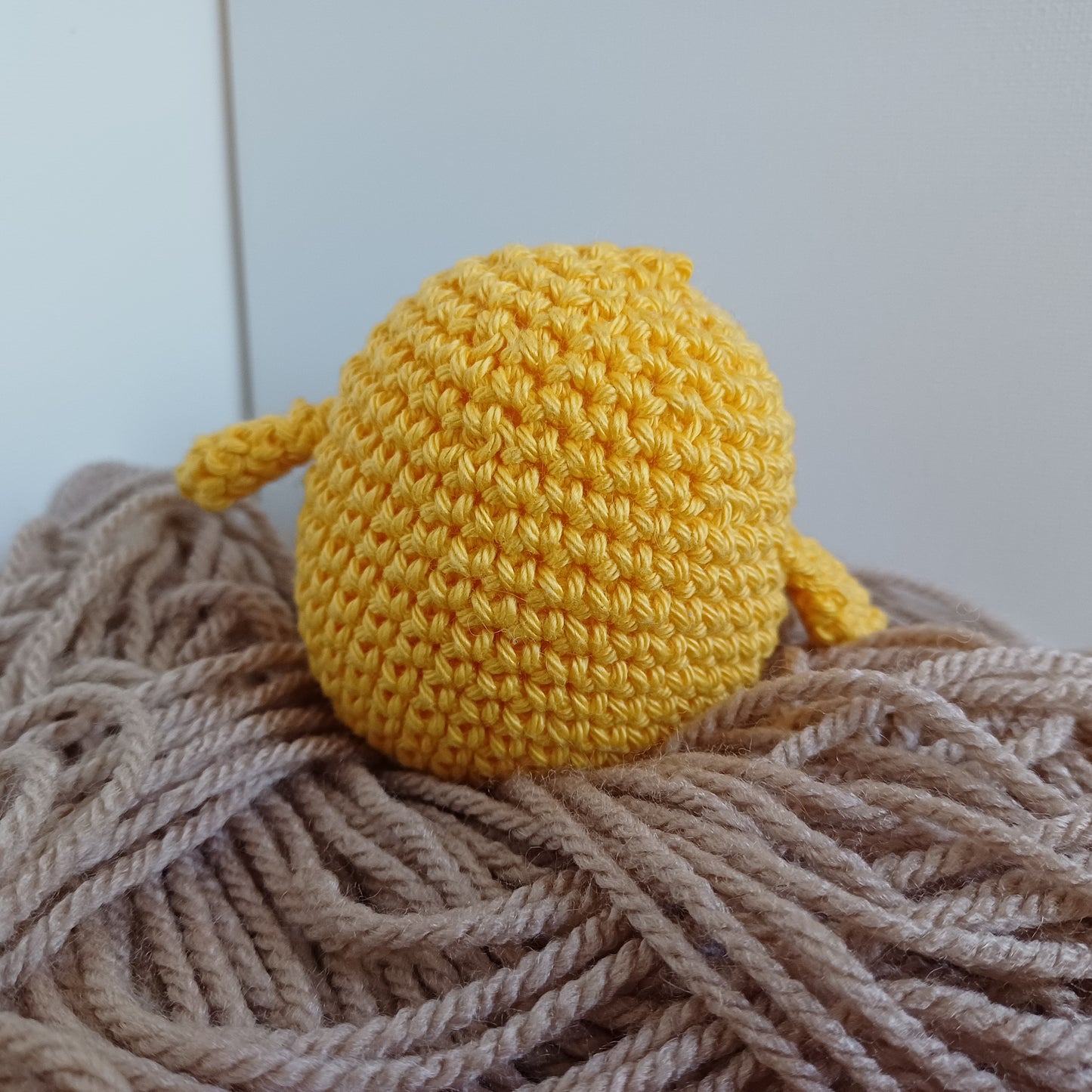 Poussin jaune